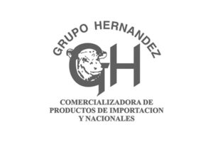 Logo de Grupo Hernandez: Comercializadora de Productos de Importacion y Nacionales.